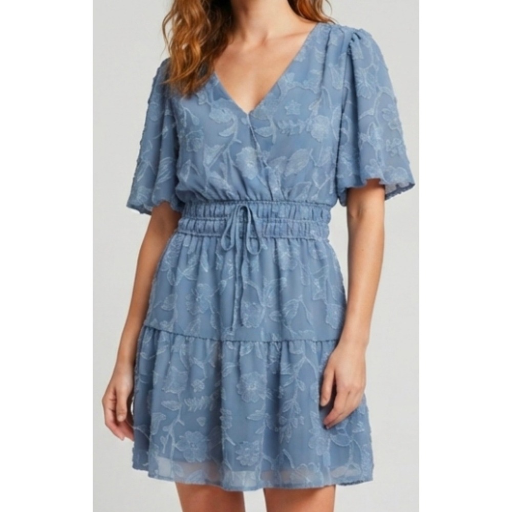 Joie Blue Floral Burnout Mini Dress Smocked Waist Flutter Sleeve Cottagecore S